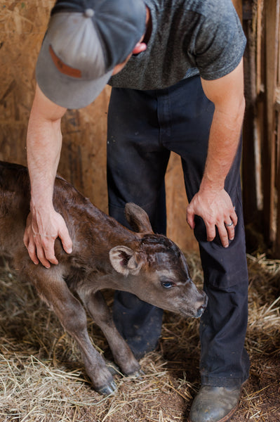 Diversifying and Controlling Your Herd Size