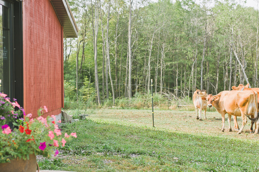 June (and SUMMER) Is Here!