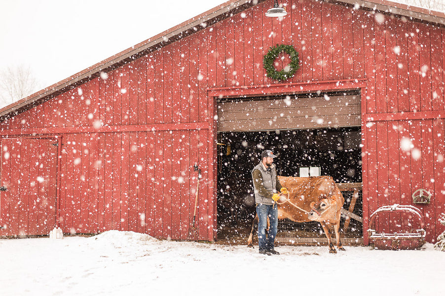 Friday, January 19: Snowed In!