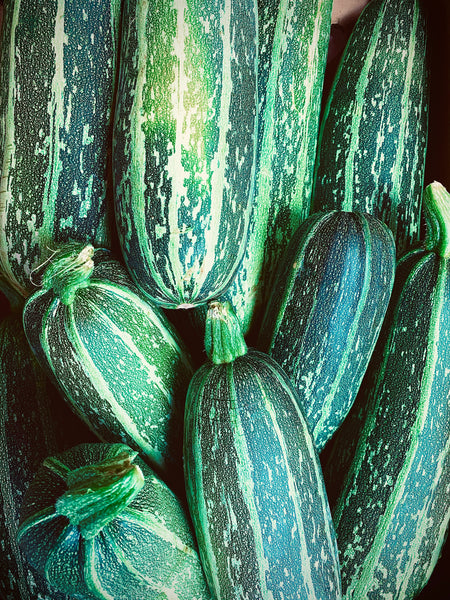 Zucchini Bread: A Celebration of Summer's Bounty